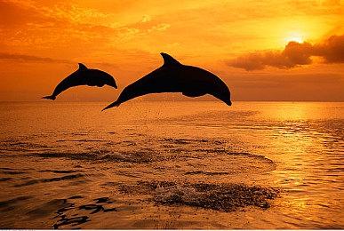 索尼公布“午夜黑”Pulse 3D耳机组 充分发挥PS5 3D音频技术